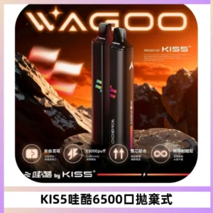 KIS5WAGOO哇酷6500口拋棄式 | 自由混搭雙口味 | 雙芯組合