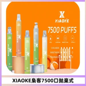 XIAOKE梟客7500Puffs跑馬燈拋棄式電子煙 可發光一次性